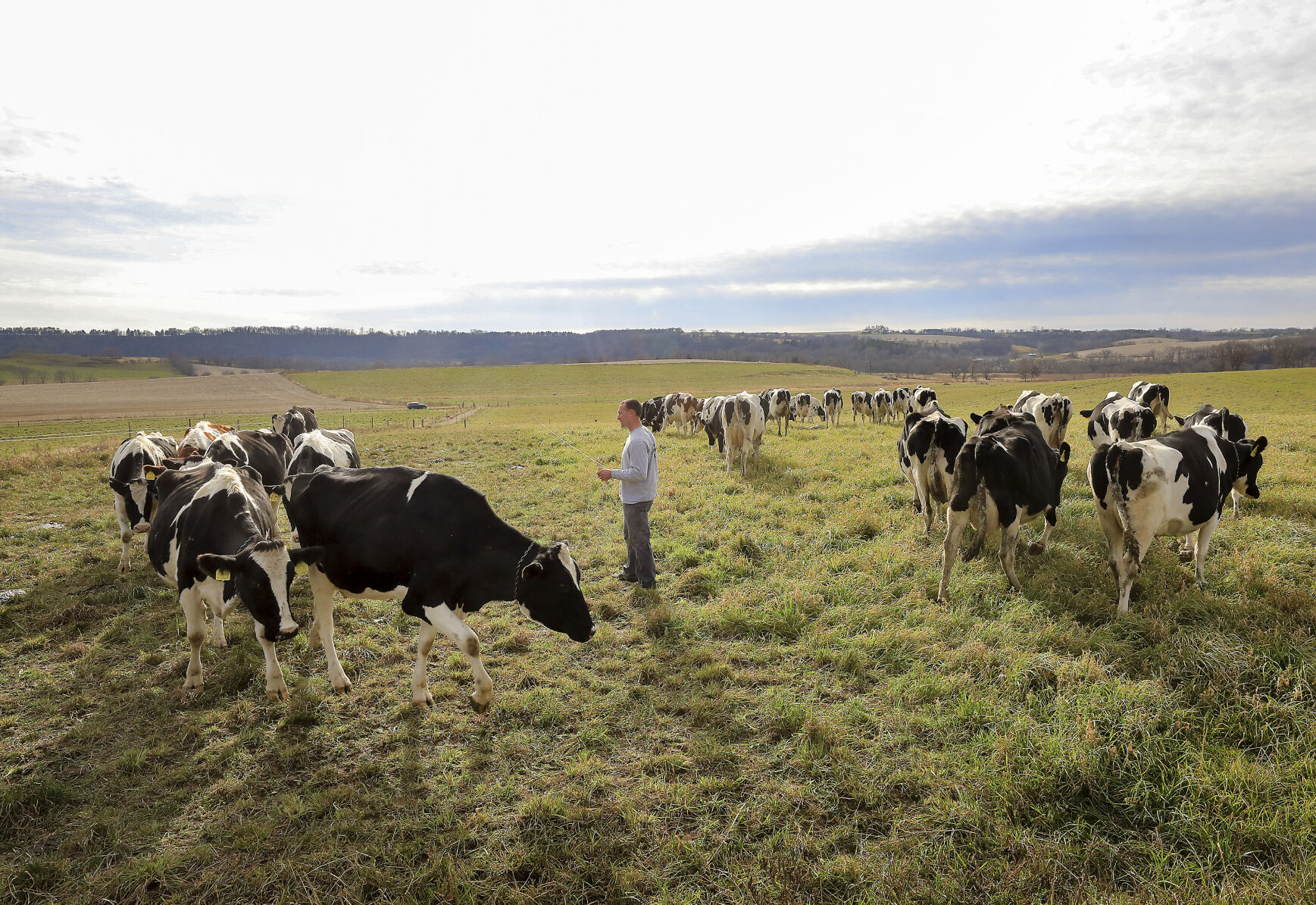 Grazing